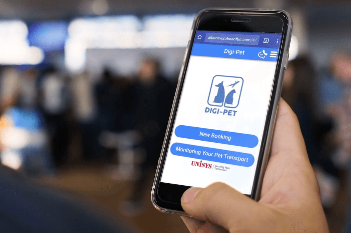 Person holding a phone with the Digi-Pet monitering app