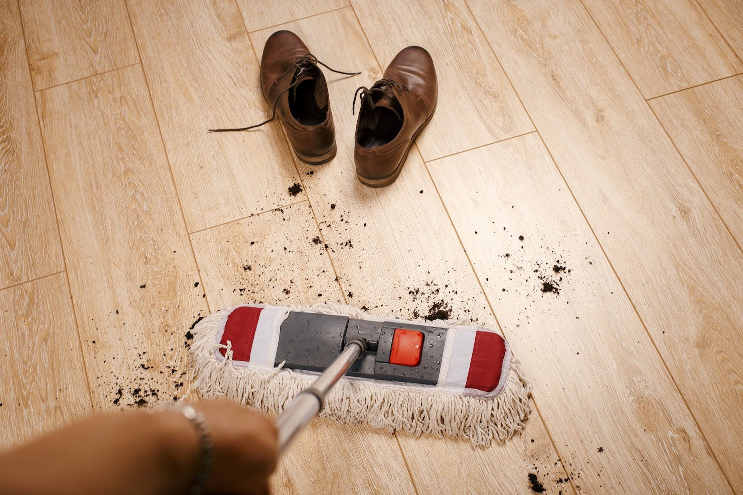 The Most Disgusting Reasons Reason Why You Should Never Wear Your Shoes in the House