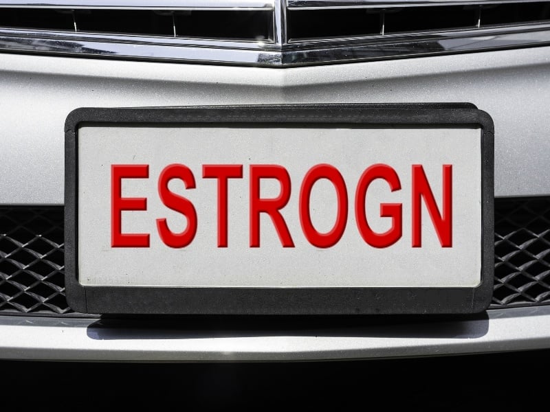 ESTROGN licence plate