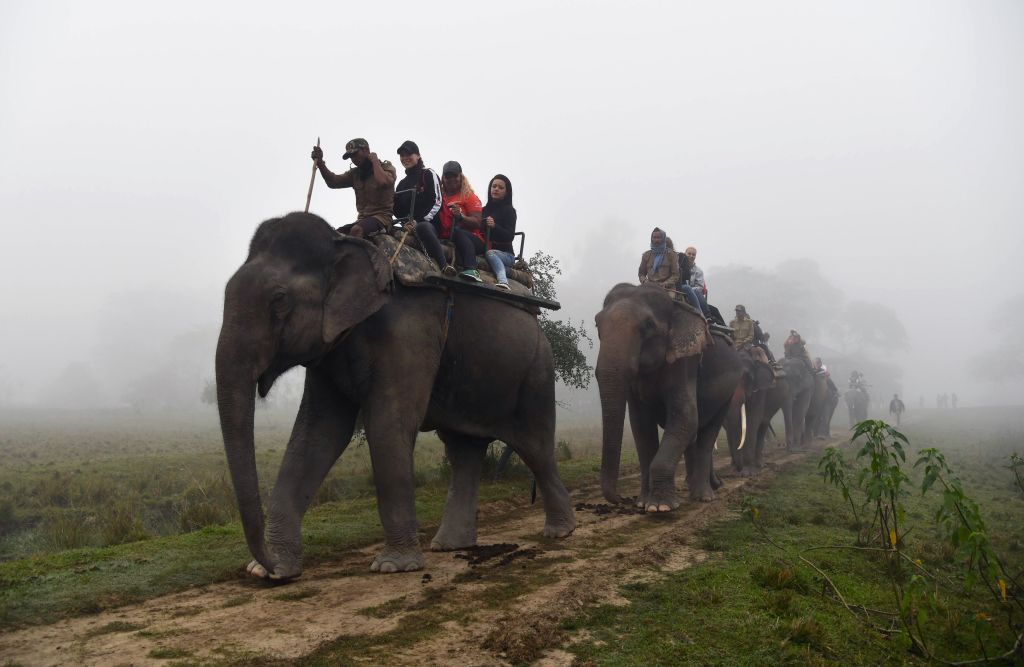 Tourists riding on the back of elephants