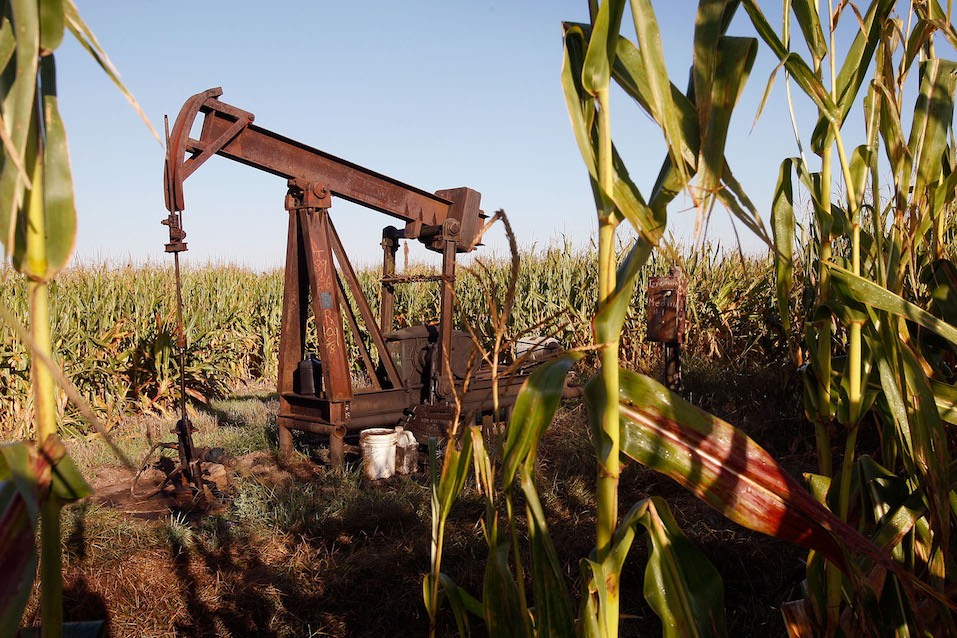 An oil well sits in the middle of a corn field