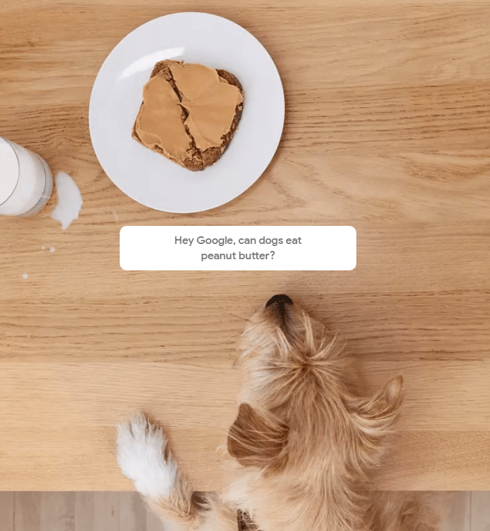 Google home pets