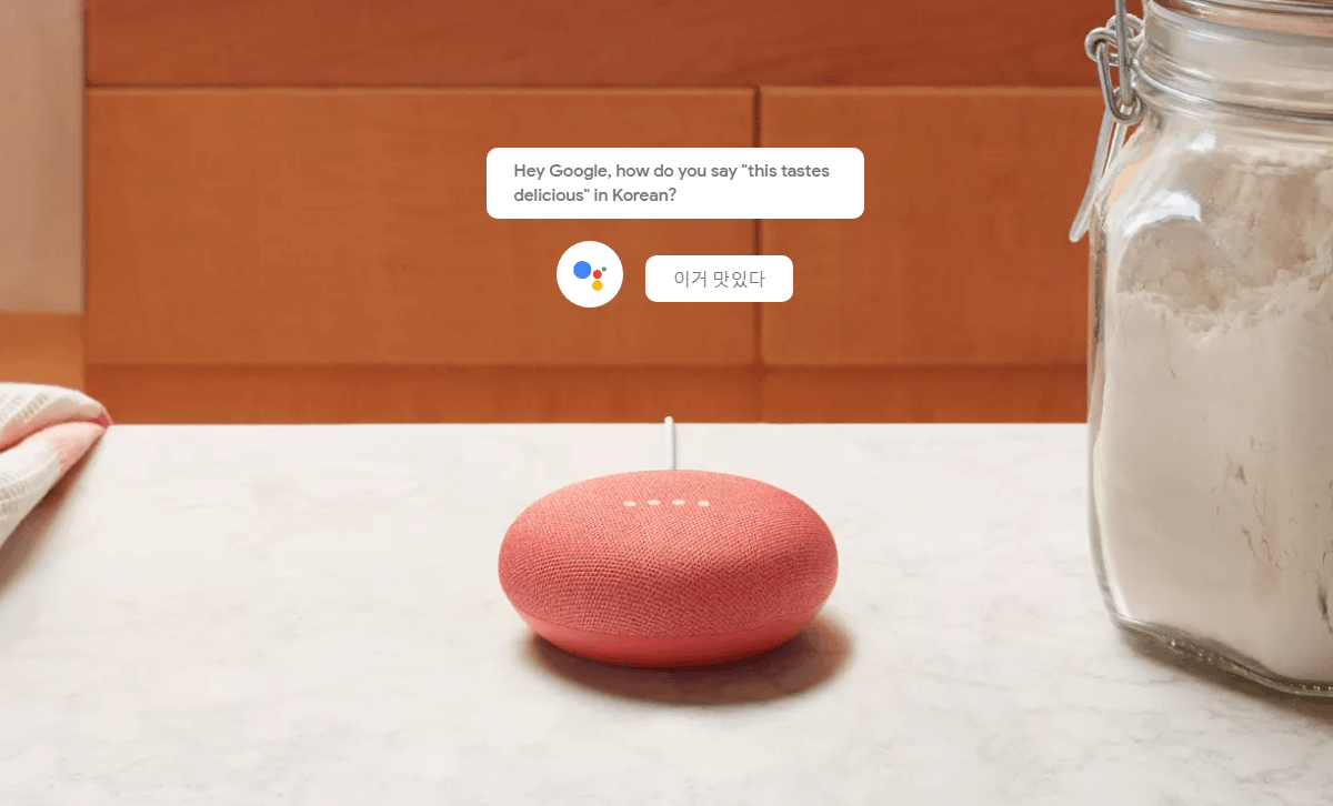 Google home translation