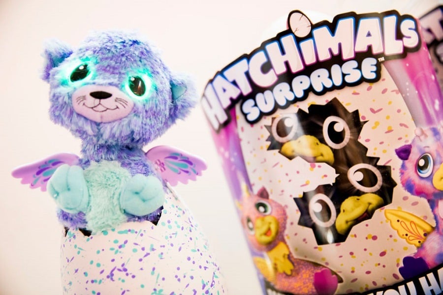 A Hatchimals Egg Surprise A Hatchimals Egg Surprise