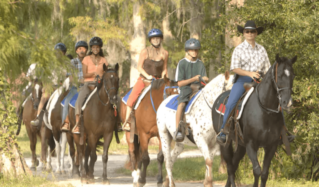 Horseback riding disney