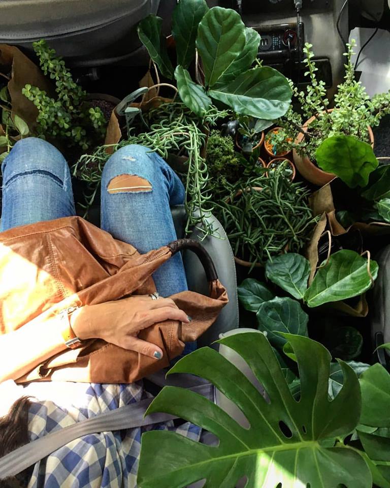 Joanna Gaines Joanna Gaines with plants