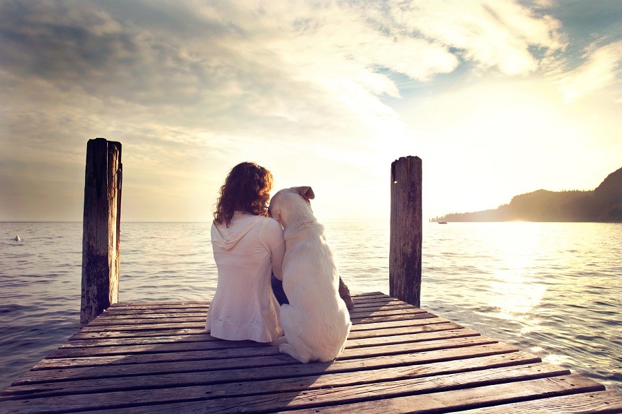 Lady sitting with a dog Lady sitting with a dog