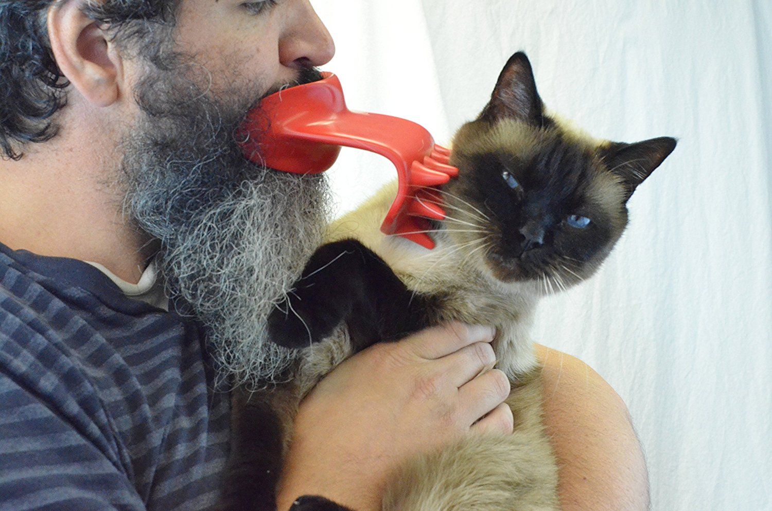 Lick'em cat scratcher