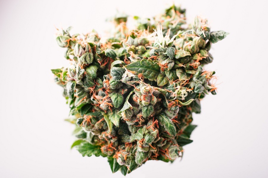 Medical drug cannabis bud with THC crystals Medical drug cannabis bud with THC crystals