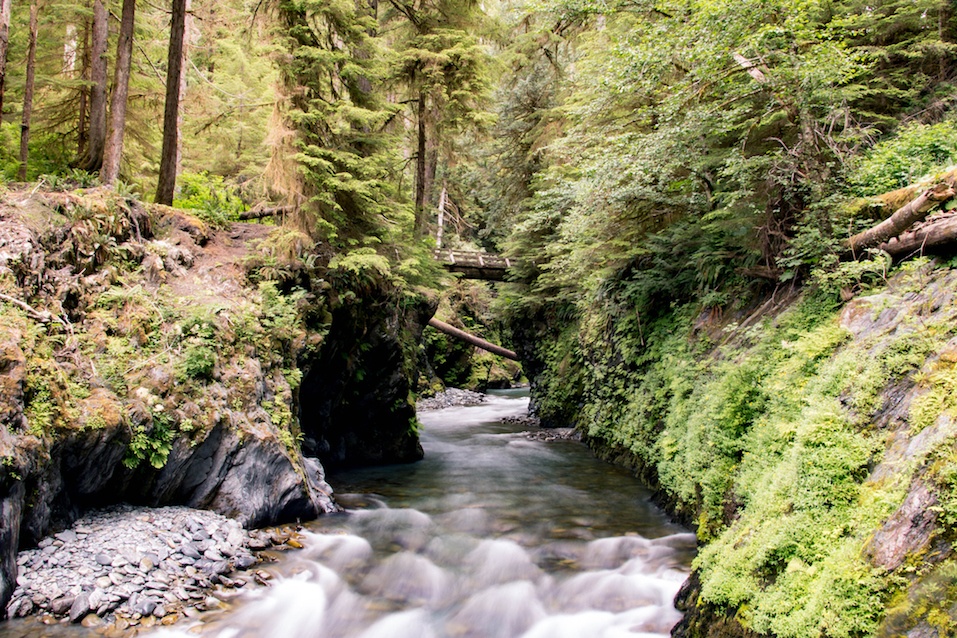 Olympic National Park