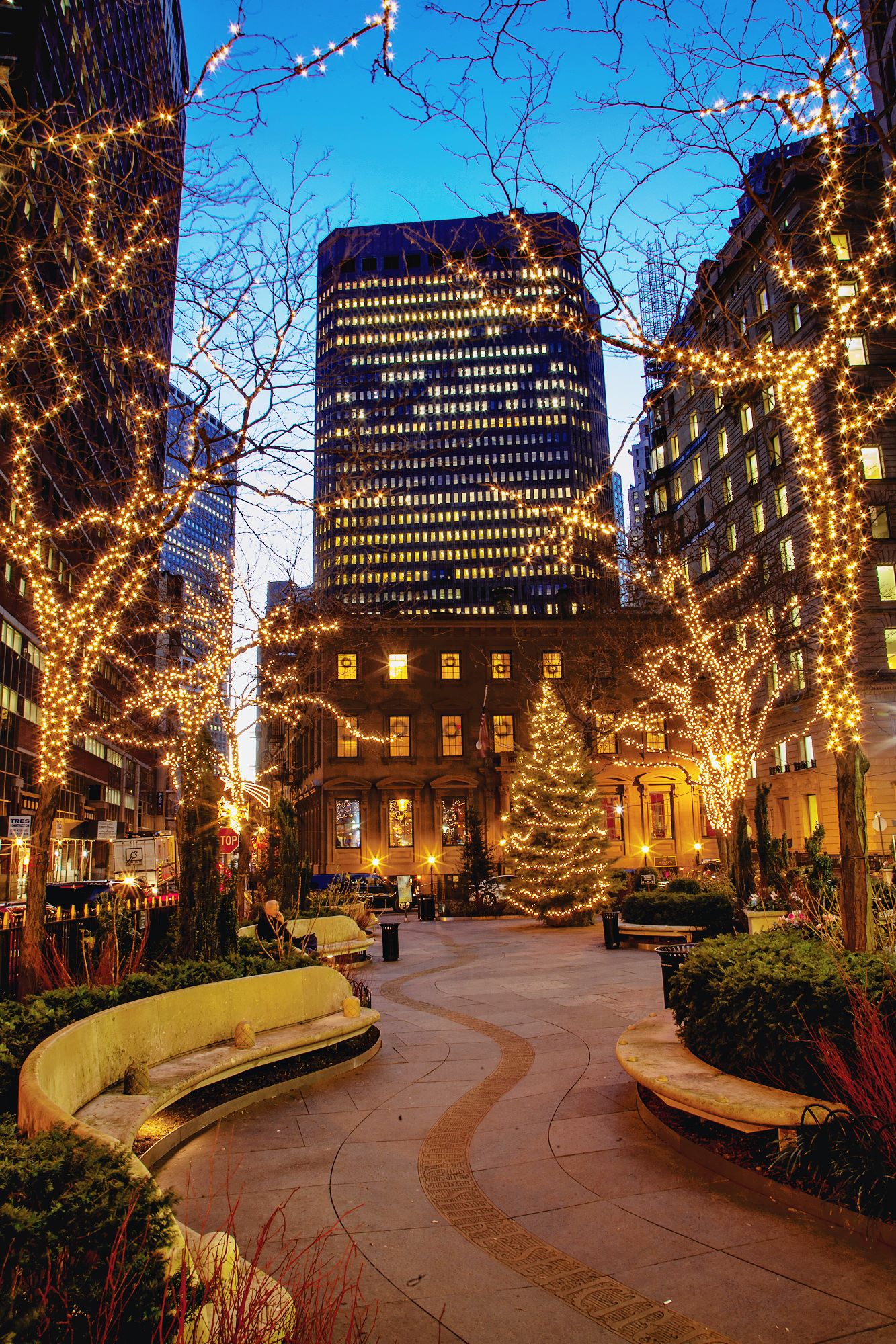 Queen elizabeth garden NYC