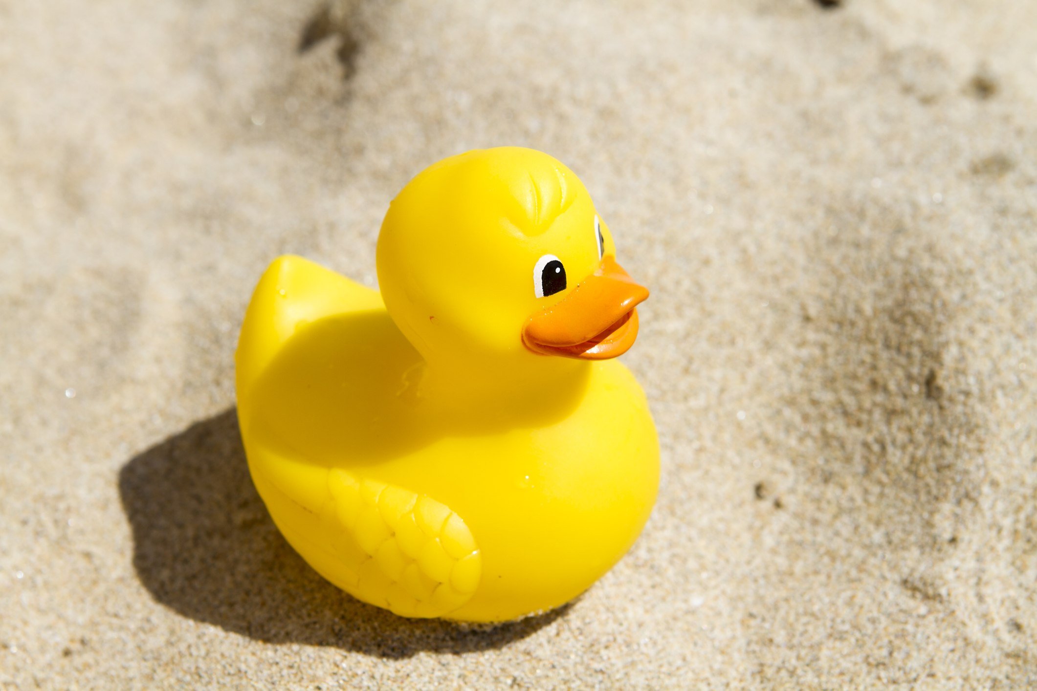 Yellow plastic toy duck in the sand