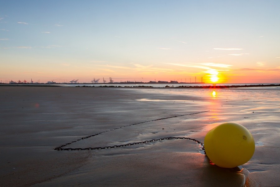 wet Sand sandy beach