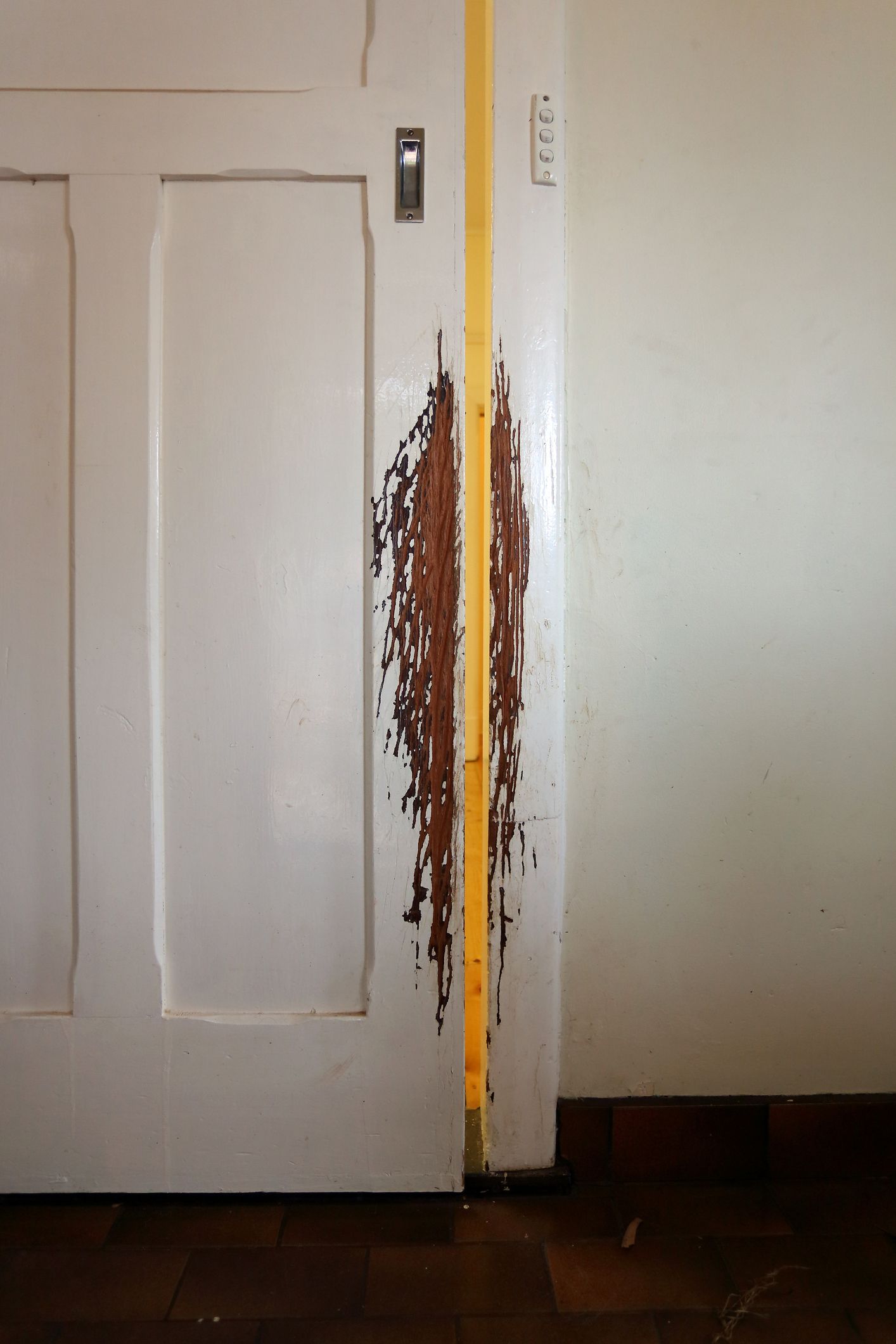 Dog scratches on a damaged door
