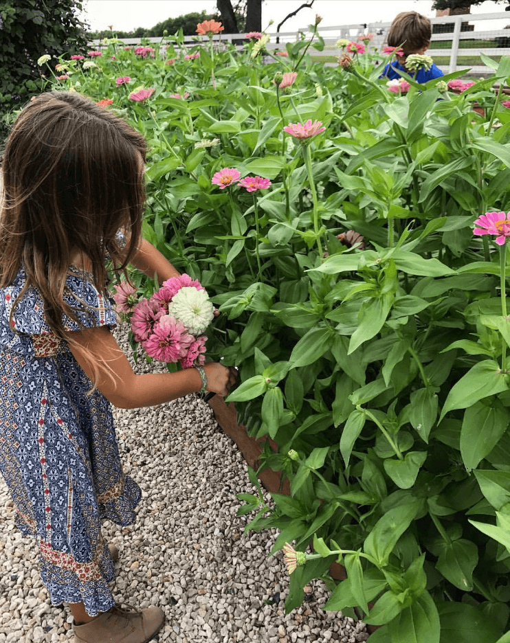 Gaines daughter picking flowers