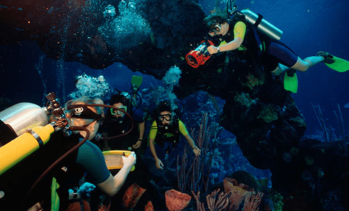 Scuba diving disney