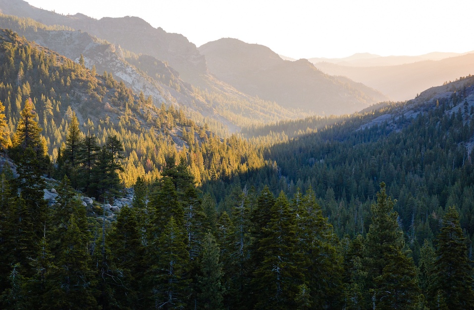 Stanislaus National Forest