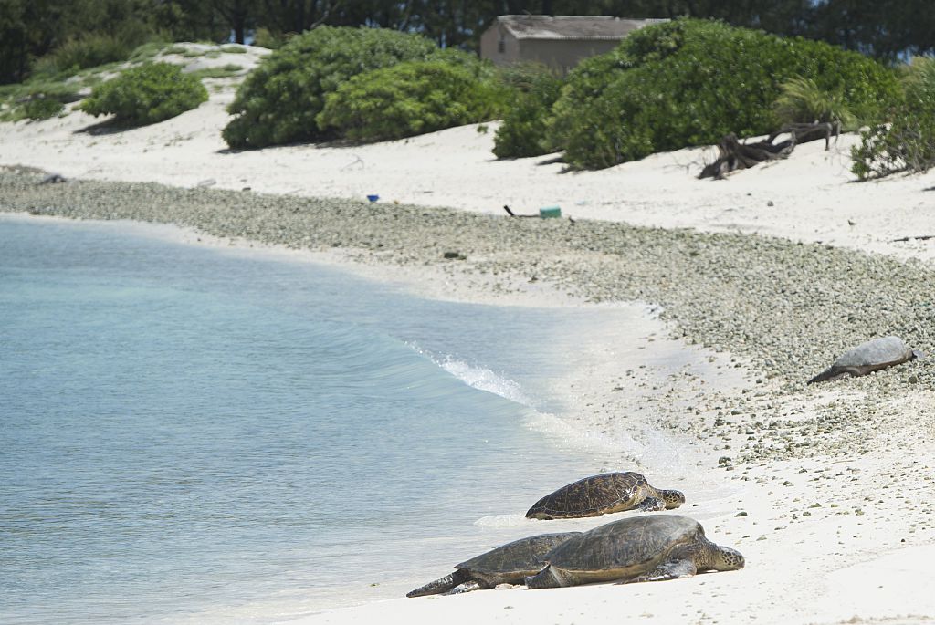Papahanaumokuakea Marine National Monument in the Pacific Ocean