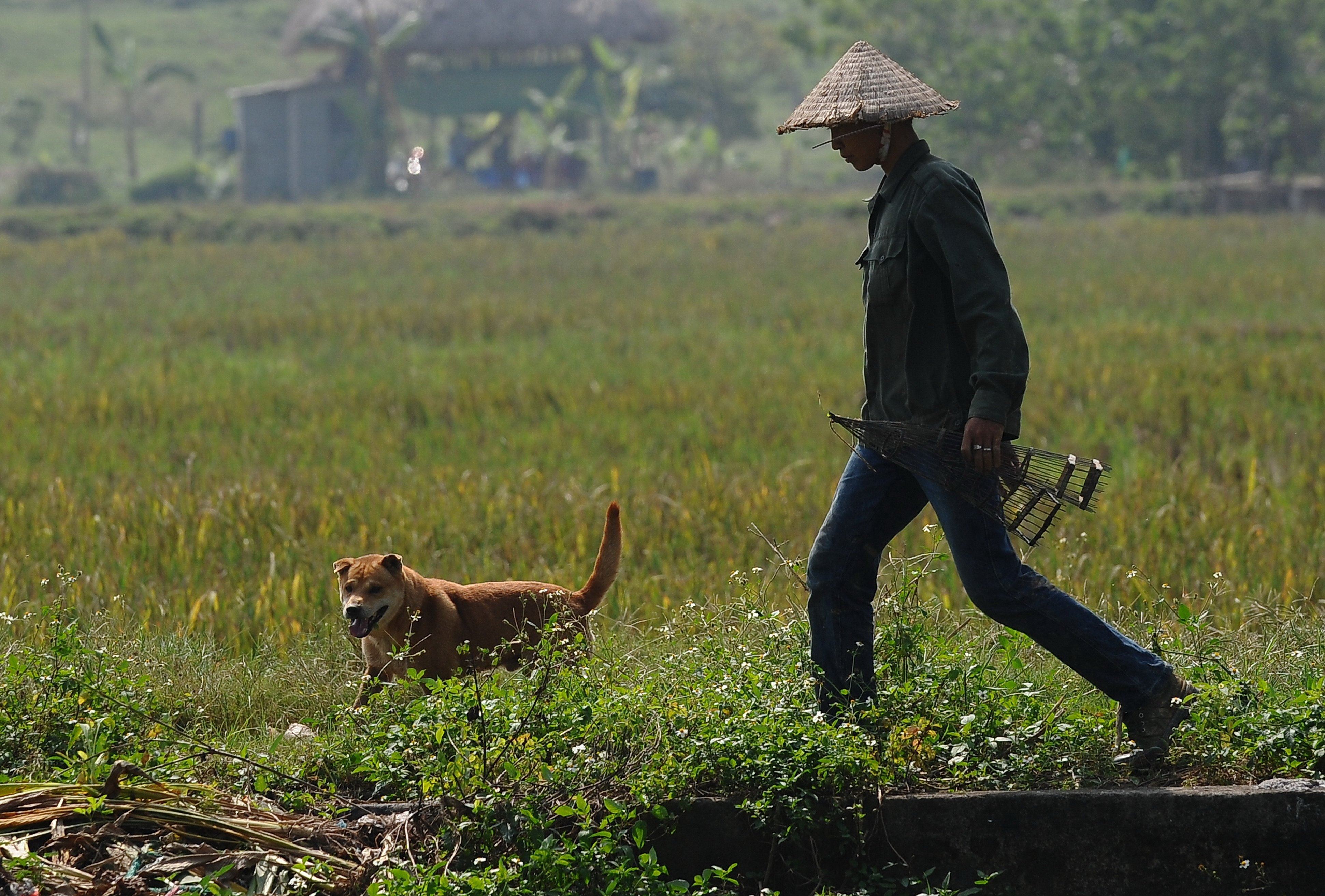 Vietnamese man with dog