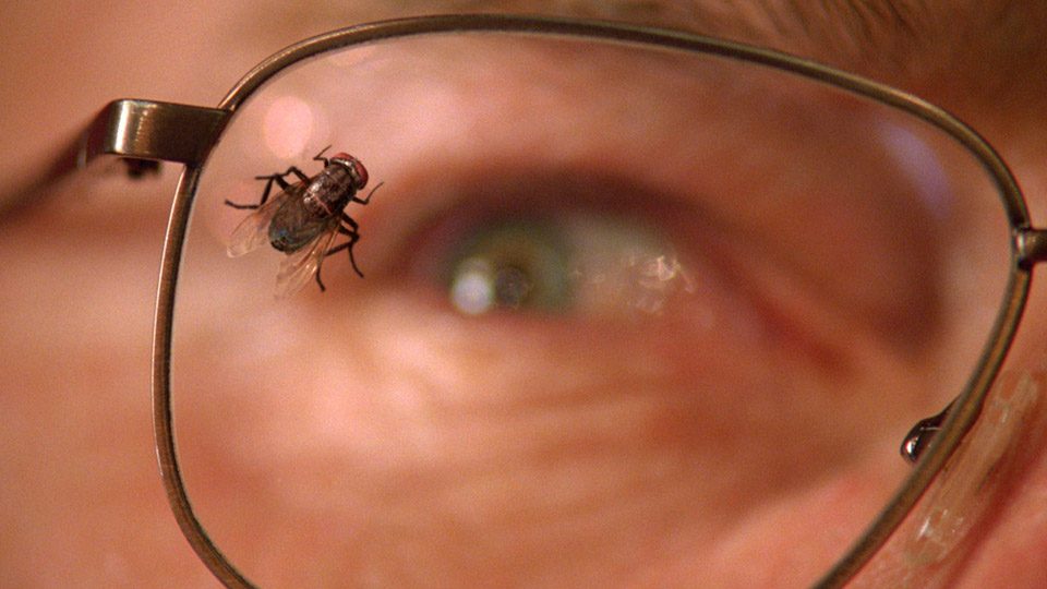 Breaking Bad "Fly" Breaking Bad "Fly"