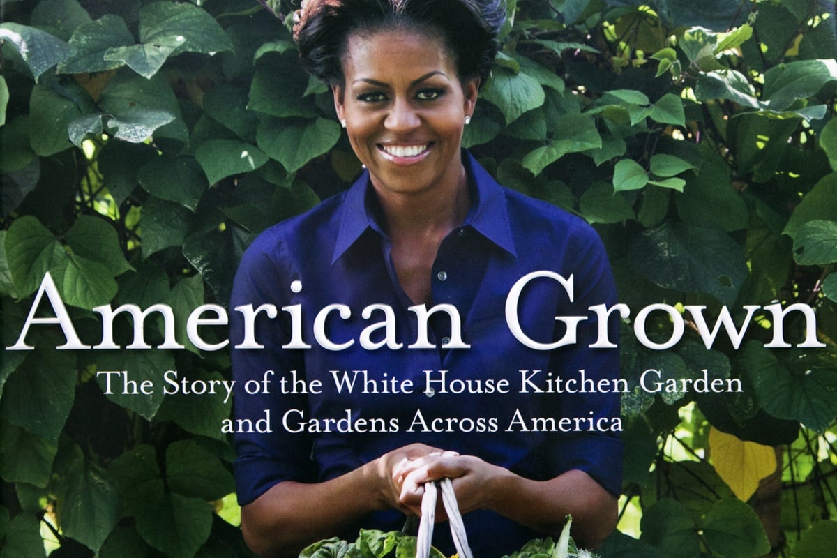 Michelle Obama book Michelle Obama book