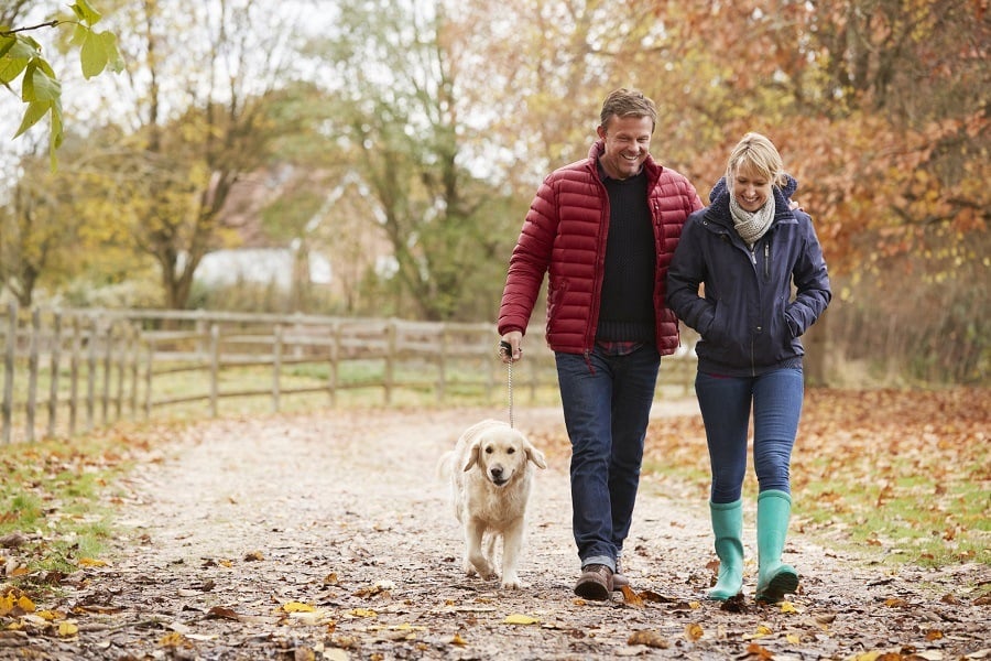 Mature Couple On Autumn Walk With Labrador Mature Couple On Autumn Walk With Labrador