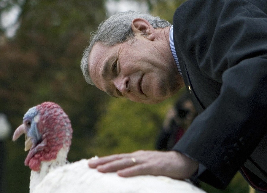 US President George W. Bush pets a turkey.