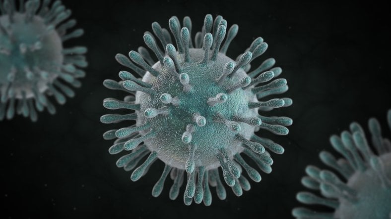 MERS virus