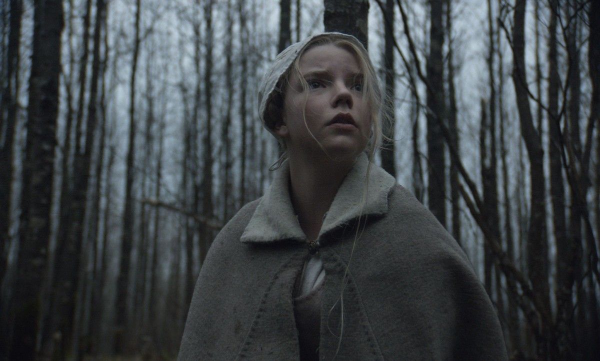 A girl stands in the woods A girl stands in the woods