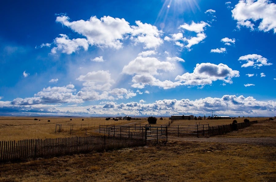Buildings and architecture downtown city skyline Lubbock, Texas Amarillo Farm Fields