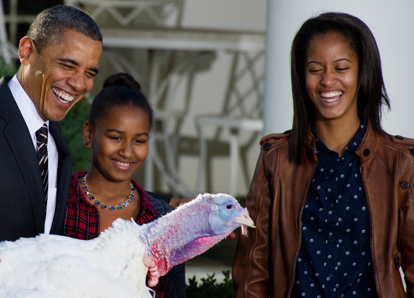Barack Obama pardons a turkey