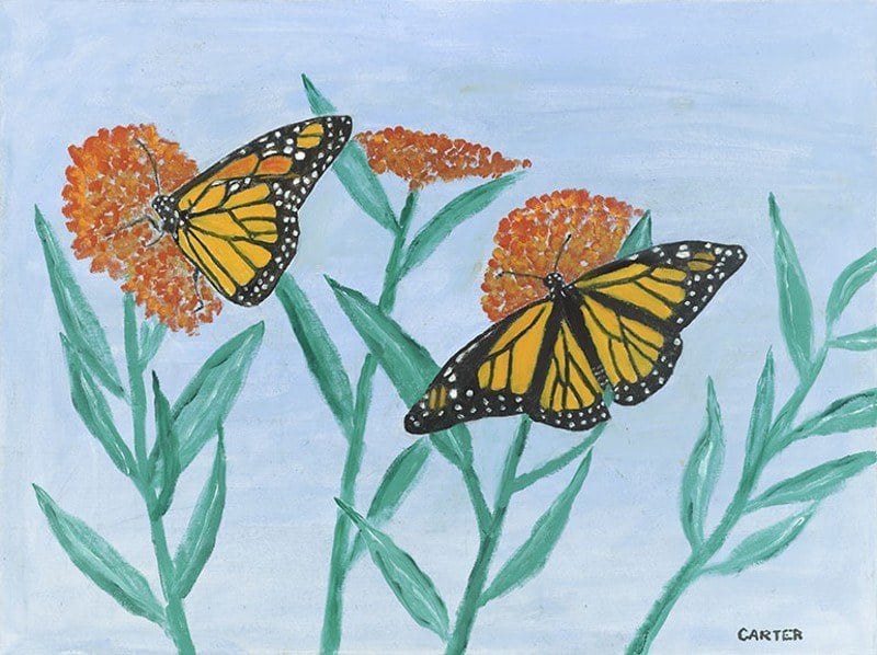 Jimmy Carter painting of butterflies