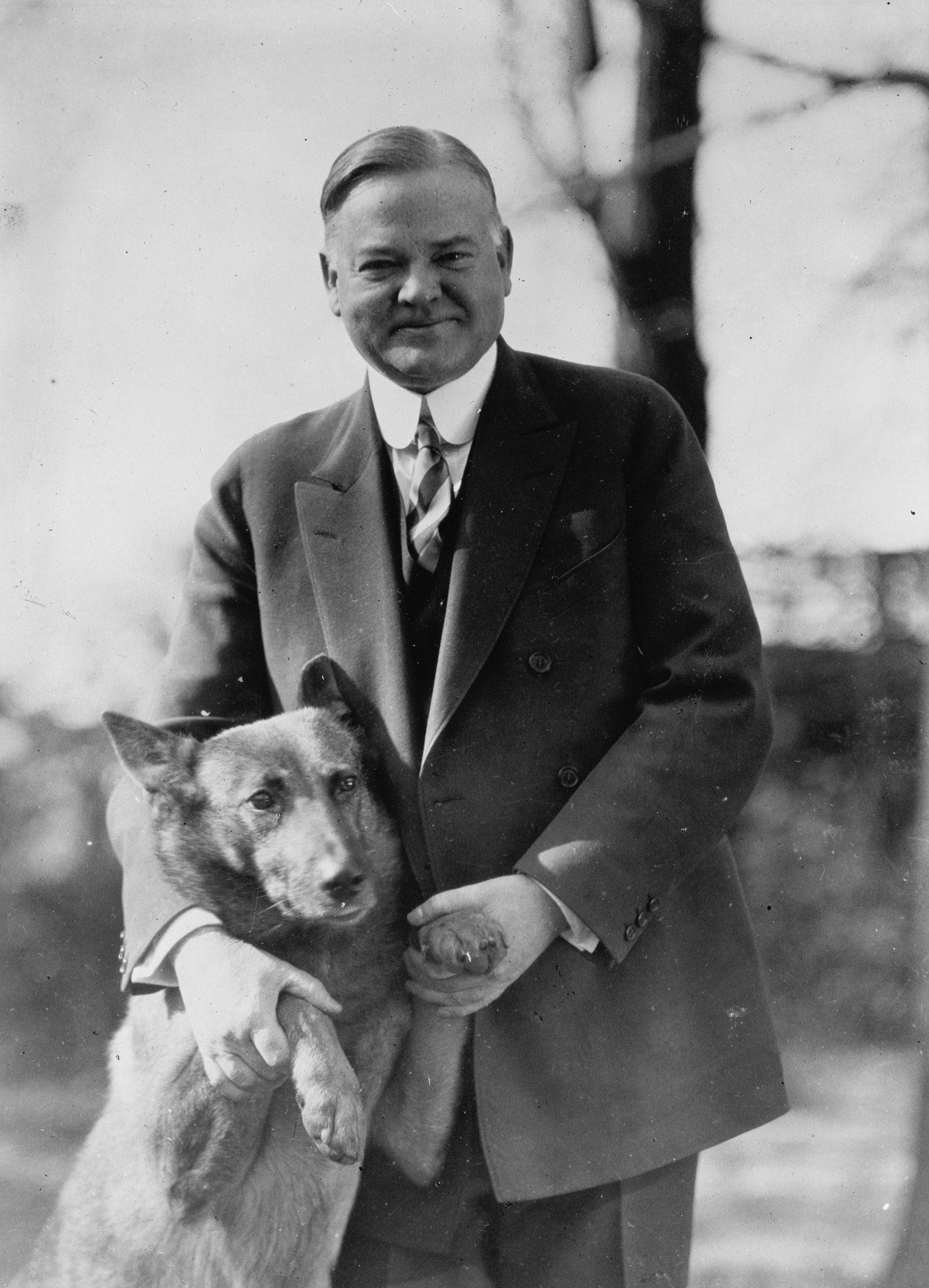Herbert hoover dog