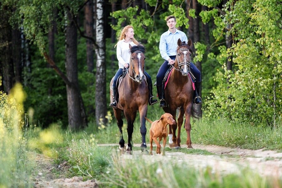 Horse riding Horse riding