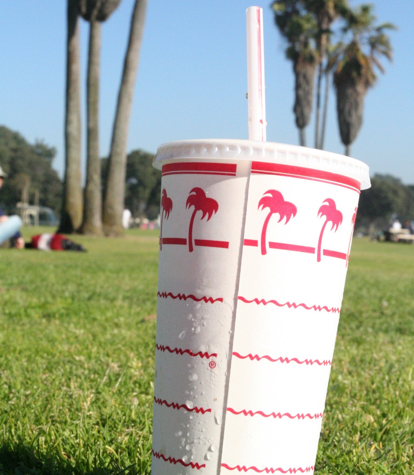 In n out drink