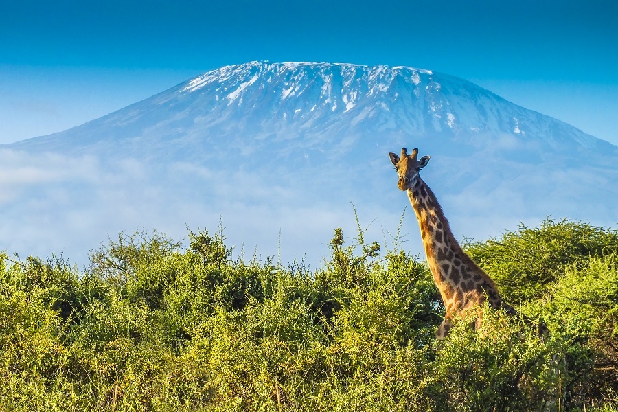 Kenya Kenya