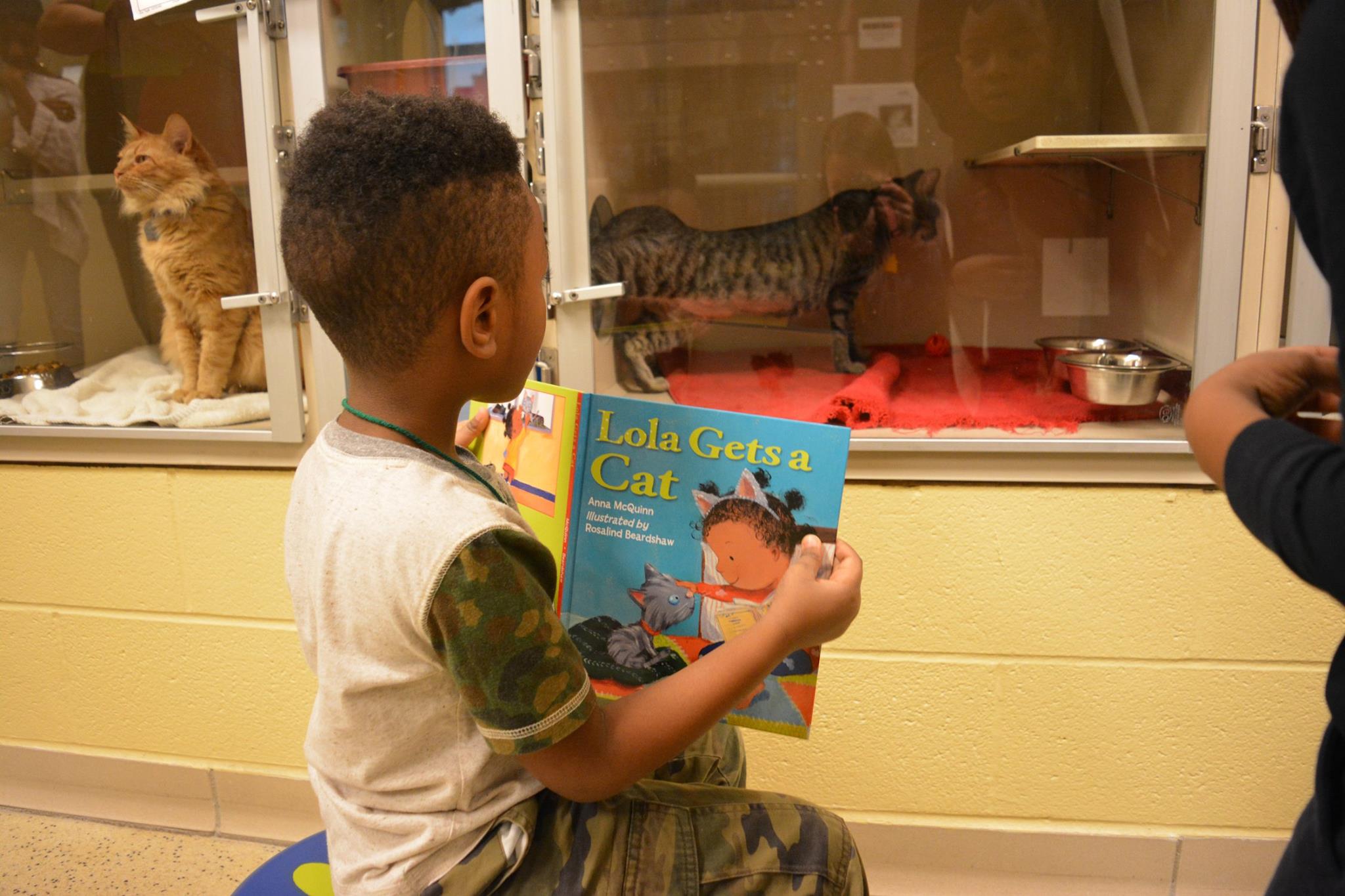 Kid reading to cat