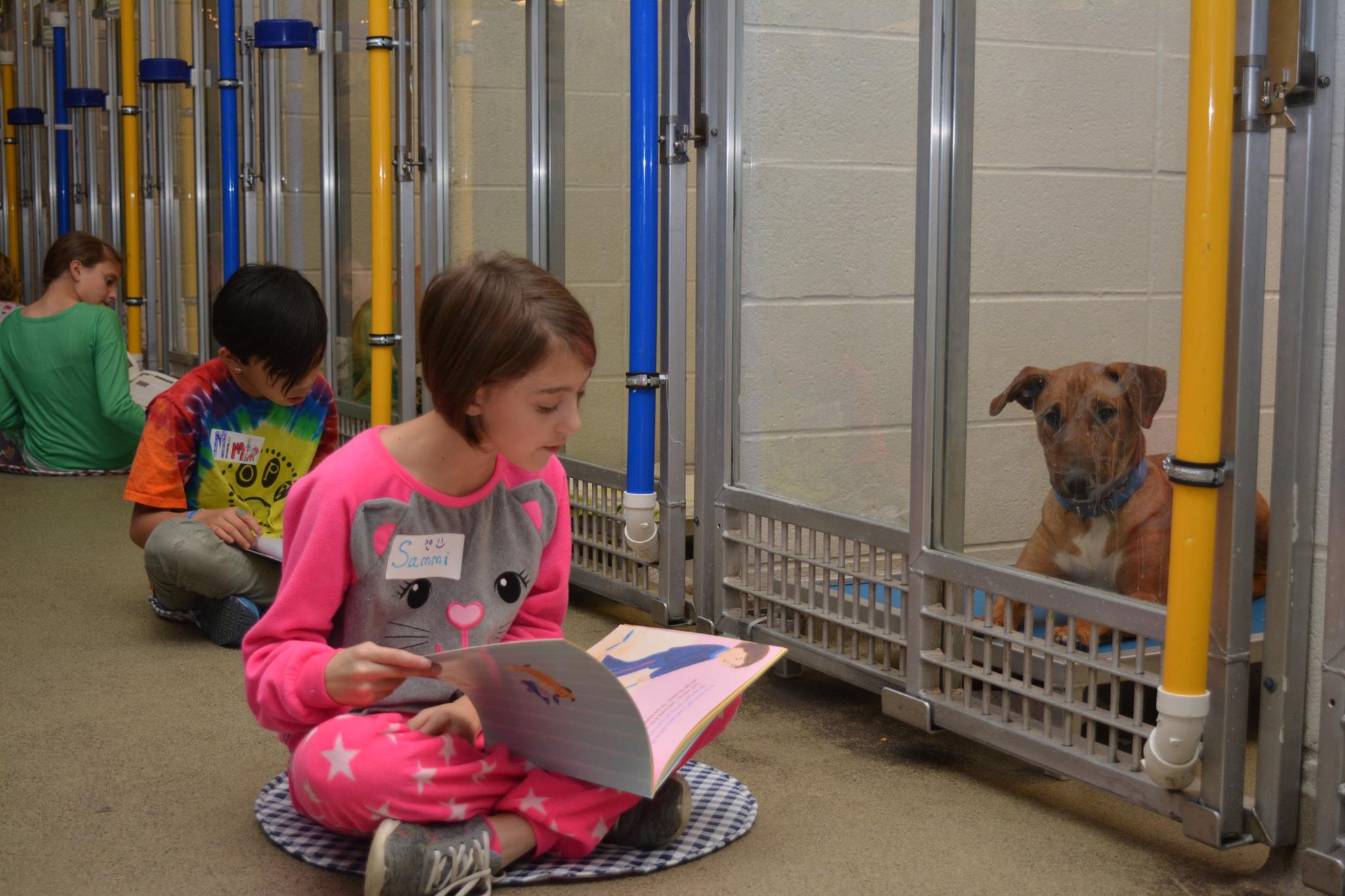 Kids read to dogs