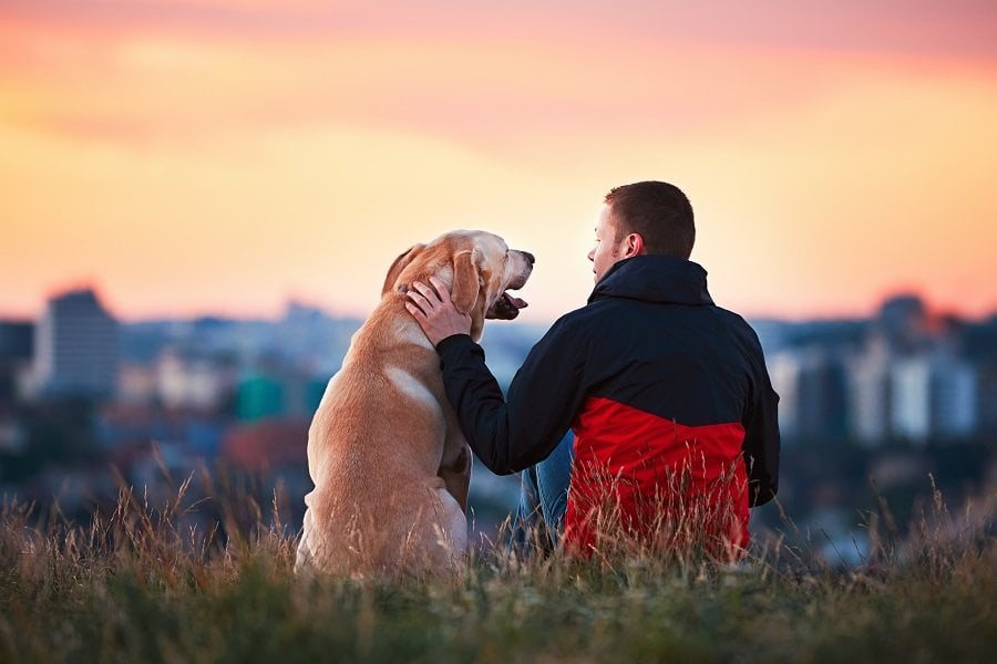 Labrador-with-a-man