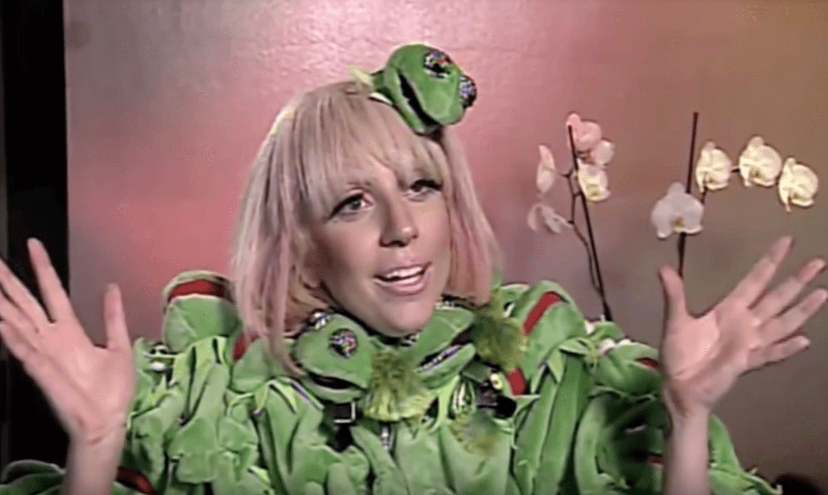 Lady Gaga kermit jacket