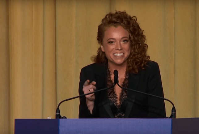 Michelle Wolf jokes Michelle Wolf jokes