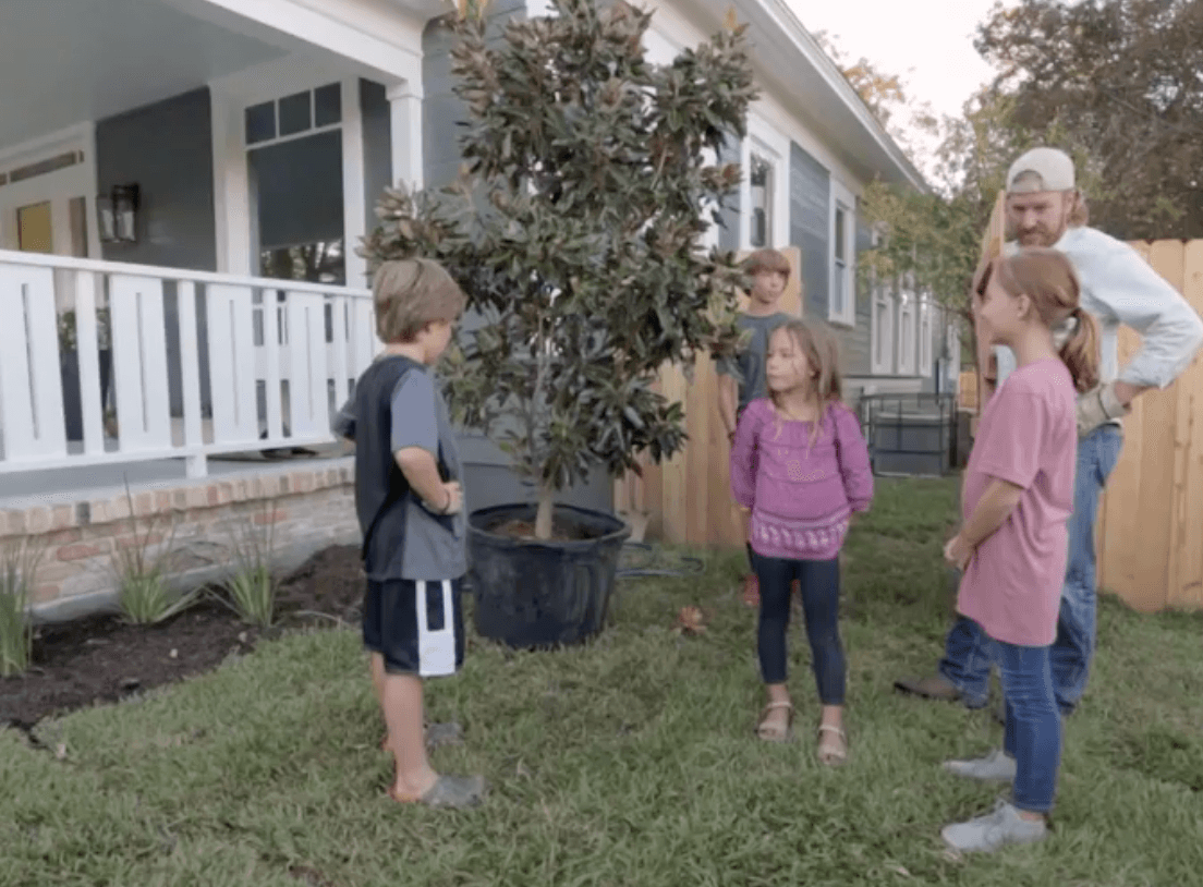 Magnolia tree significance
