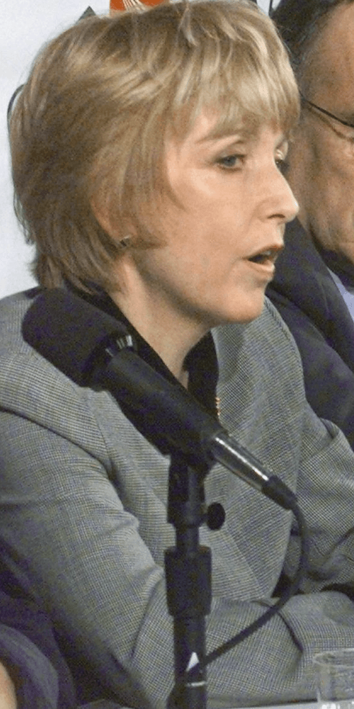 Mary Donohue speaking at a panel. Mary Donohue speaking at a panel.