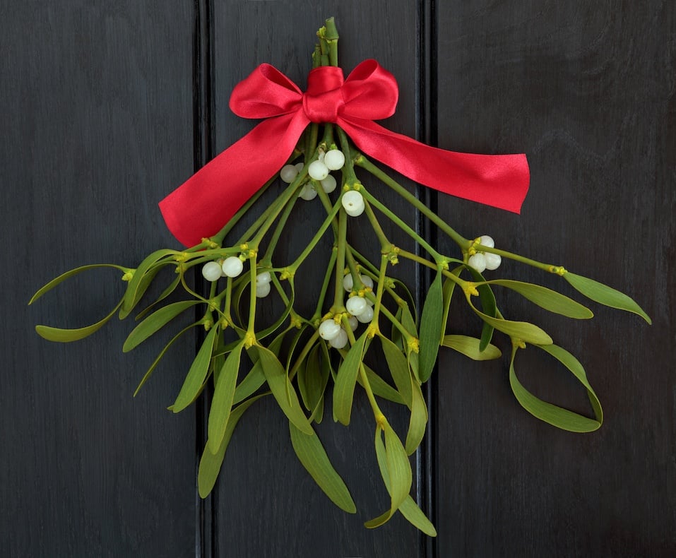 Christmas mistletoe with red ribbon bow