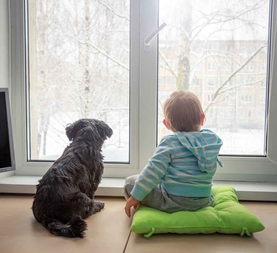 Puppy and a boy indoor Puppy and a boy indoors