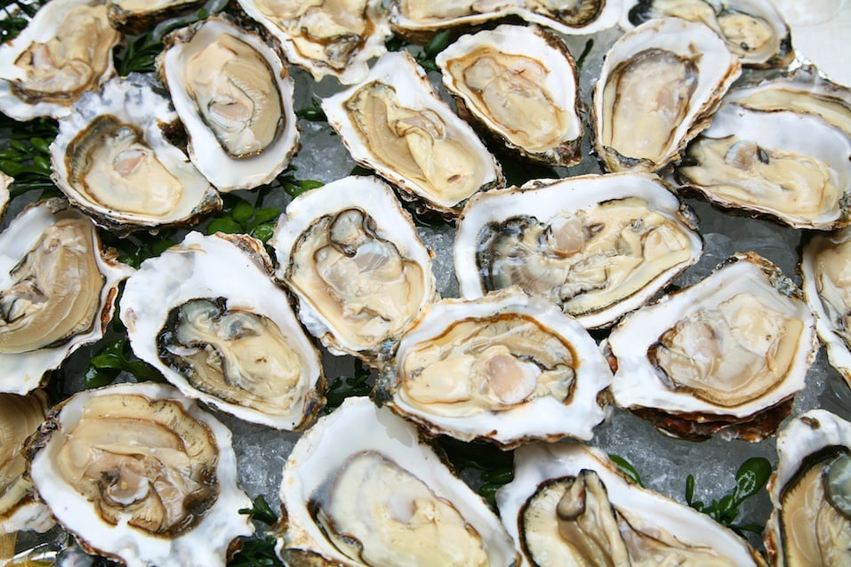 Raw oysters
