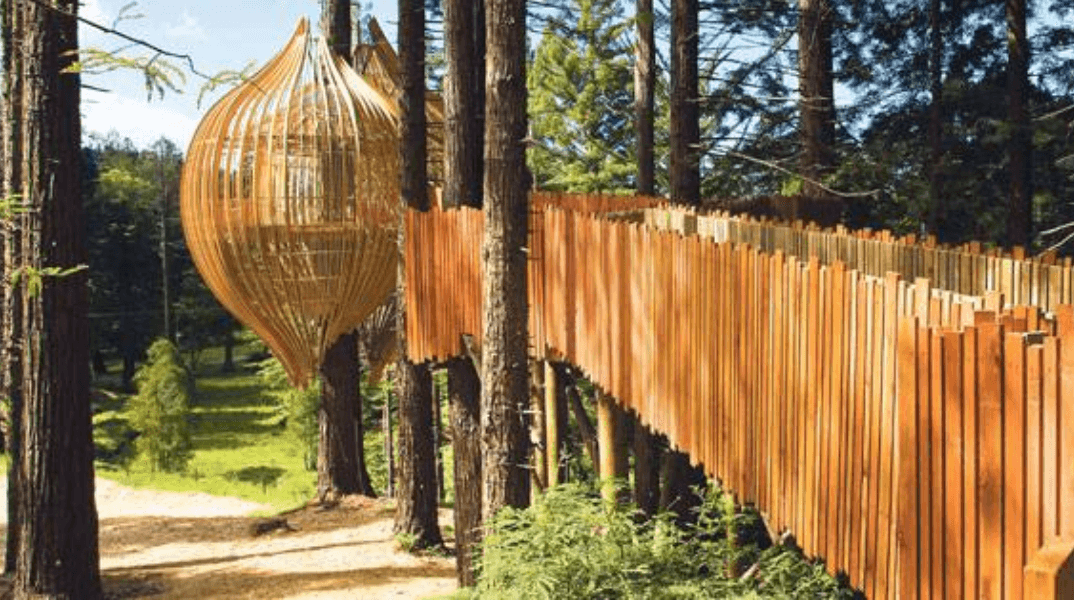 Redwoods Treehouse