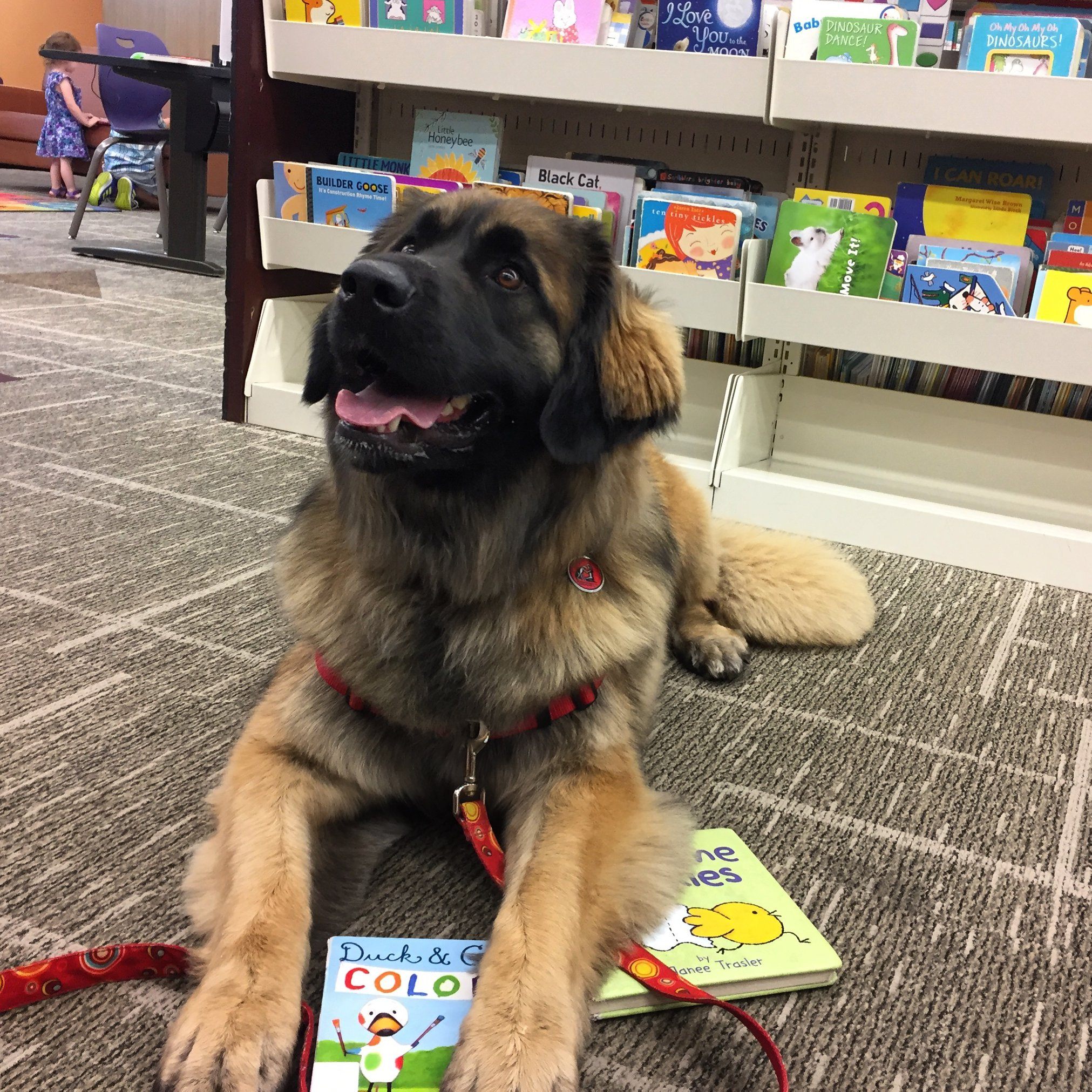 Service dog reading library
