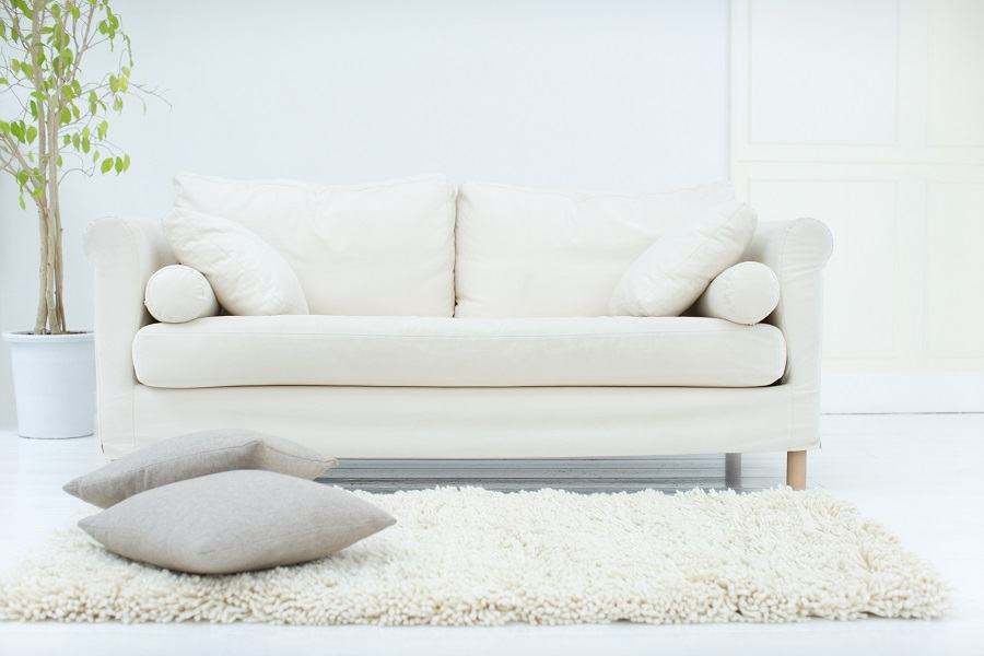 Sofa and a rug Sofa and a rug