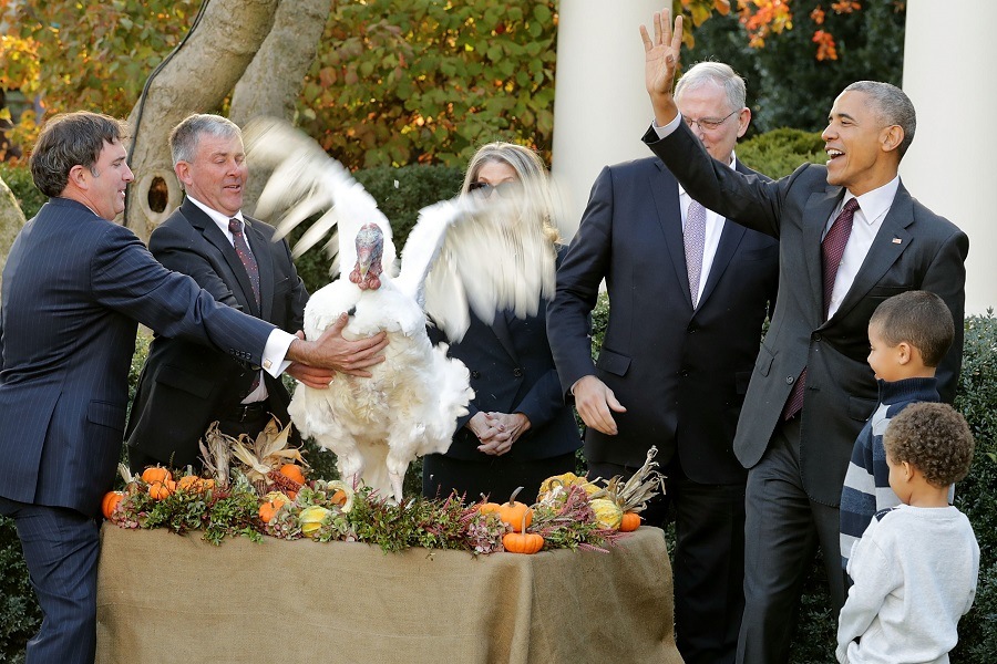 Flying turkey on Thanksgiving with Obama